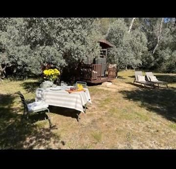 Roulotte / Tiny House Dans Les Alpilles Hotel Saint-Rémy-de-Provence Buitenkant foto